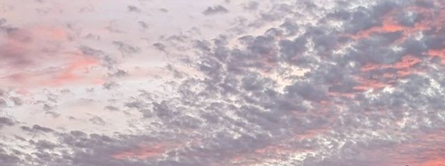 あずささんの壁紙画像