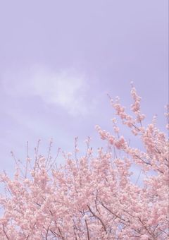 今日、好きになりました。〜桜編〜