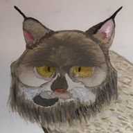 カナダオオヤマネコさんのアイコン画像