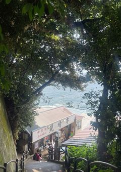 今日、好きになりました