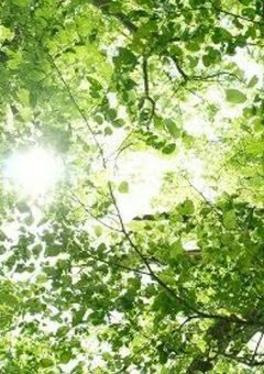 おはよう、初めまして。
