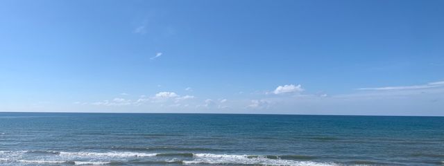 いるかさんの壁紙画像