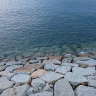 Laylaさんのアイコン画像