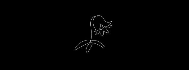 🌹𝕒𝕟𝕦𝕞𝕦さんの壁紙画像