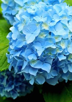 押してダメなら引いてみろ！