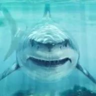 ザクさんのアイコン画像