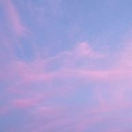 LPNさんのアイコン画像