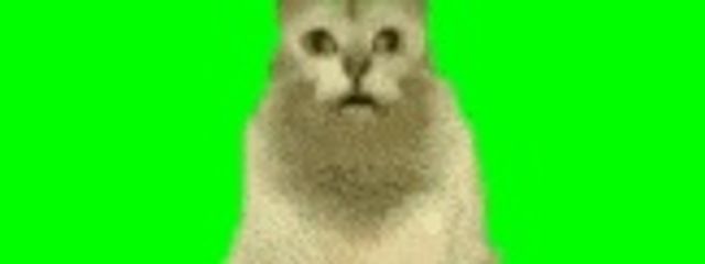 けちこさんの壁紙画像