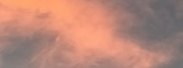 紫桜茶さんの壁紙画像