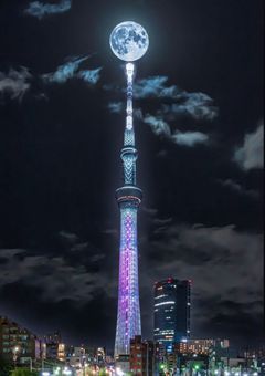 【大人数参加型〆】もう1つの魔都トウキョウ23区