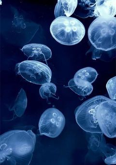 BOYNEXETDOOR BL ?×🐠