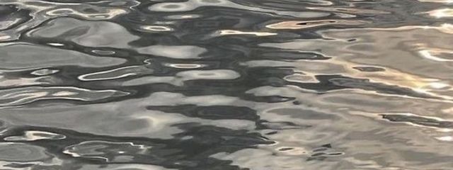 らんさんの壁紙画像