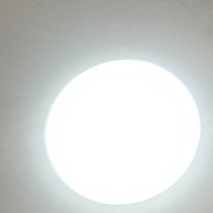 ししゃもさんのアイコン画像