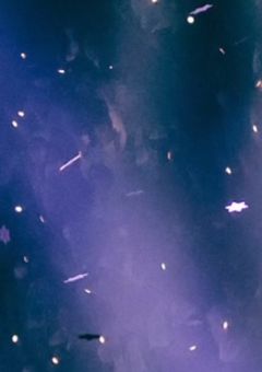 A love hidden in my heart