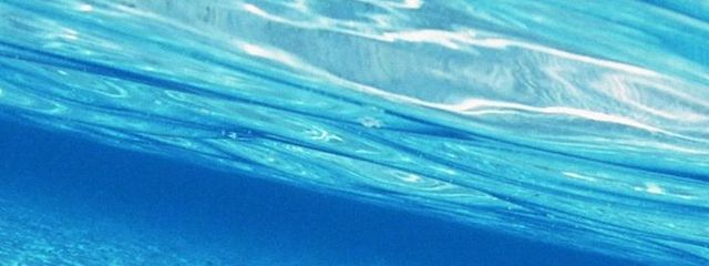 NIINAさんの壁紙画像