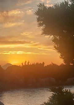 スマホ中毒者、石の世界に覚醒する。