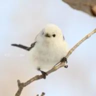 ららさんのアイコン画像