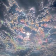 桜さんのアイコン画像