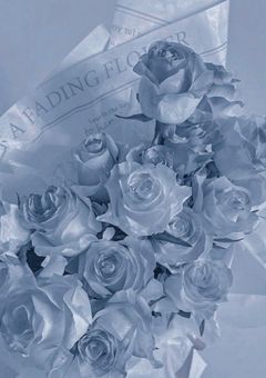 朽 チ ユ ク 鬼 火 残 サ レ タ 声