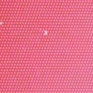 ぴよぴよ🐣さんのアイコン画像