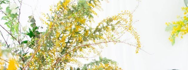 ぽんひさんの壁紙画像