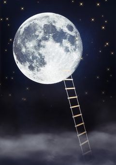 Wish For The Moon