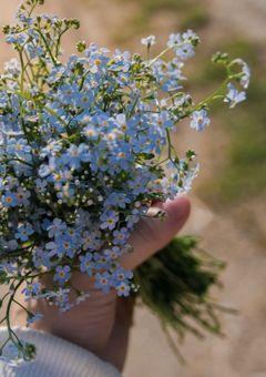 君に愛されなかった俺の話／あなたにもう一度恋をした私の話〈完〉