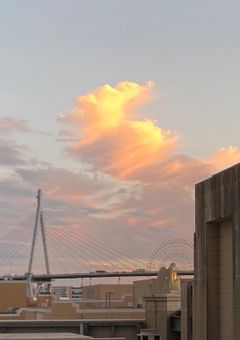 SEVENTEEN's short story .