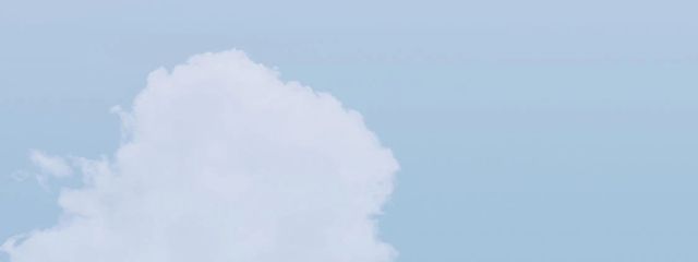 𝐇𝐚𝐫𝐮𝐤𝐚さんの壁紙画像