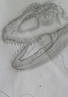 神龍のイラスト部屋