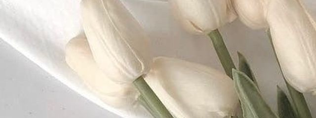 Cheeeze!!🧀✌🏻さんの壁紙画像