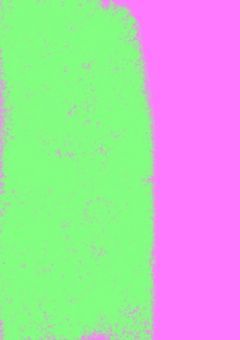 俺は……?    zr