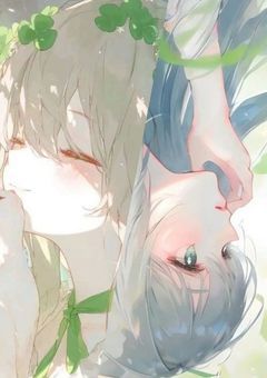 前半長編　➕　短編集