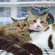 モモ（●＾o＾●）さんのアイコン画像