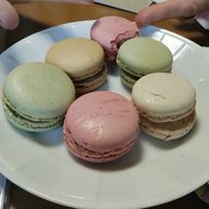 メンダコさんのアイコン画像