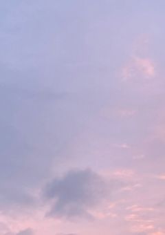 実写部屋