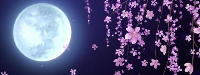 月桜さんの壁紙画像