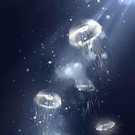 Yuina@ただいま。さんのアイコン画像