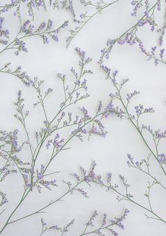 オタクのアニメ語り部屋