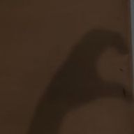 SOAさんのアイコン画像