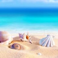 bskwchiさんのアイコン画像