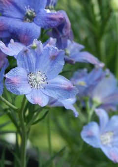 新入りさんは自由な人でした