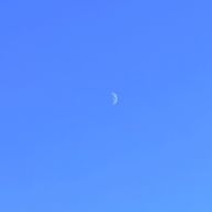 aoさんのアイコン画像