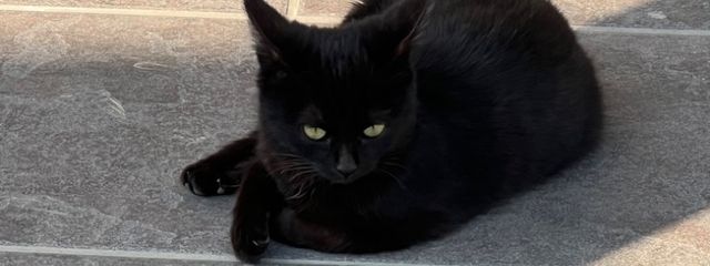 琴音🔥🚬さんの壁紙画像