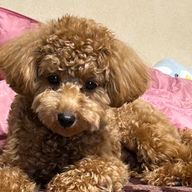 琴音🔥🚬さんのアイコン画像