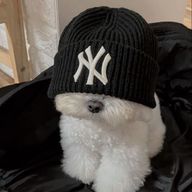 琥 珀 .さんのアイコン画像