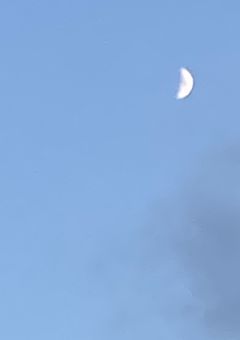 # 生まれた 瞬間 はーどもーど 。