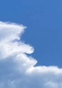 校則 は 守りなさい !