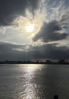 あの夏が飽和する 。