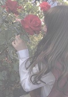 紅一点のInstagram